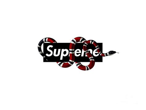 supreme x gucci long logo